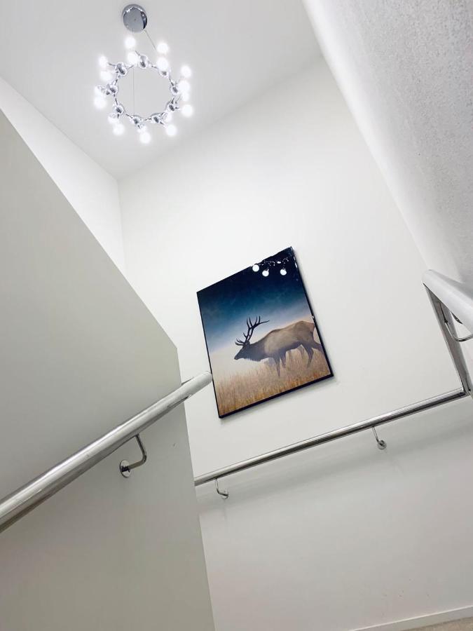 コロンボ ロッジ ホテルズ クライストチャーチ エクステリア 写真
